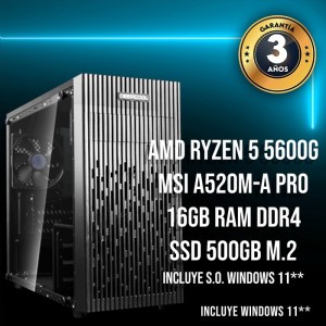 PC Sobremesa Amd Ryzen 5 5600G Ankhural